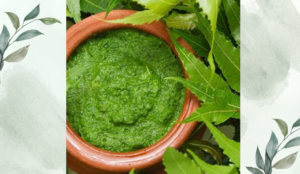 নিমের পরিচিতি ও ভেষজ গুণাবলি