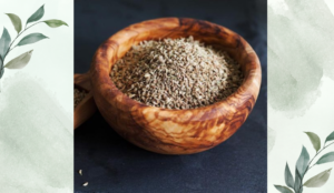 জৈন/যোয়ানের পরিচিতি ও ভেষজ গুণাবলি