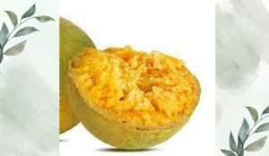 বেলের ভেষজ গুণাবলি