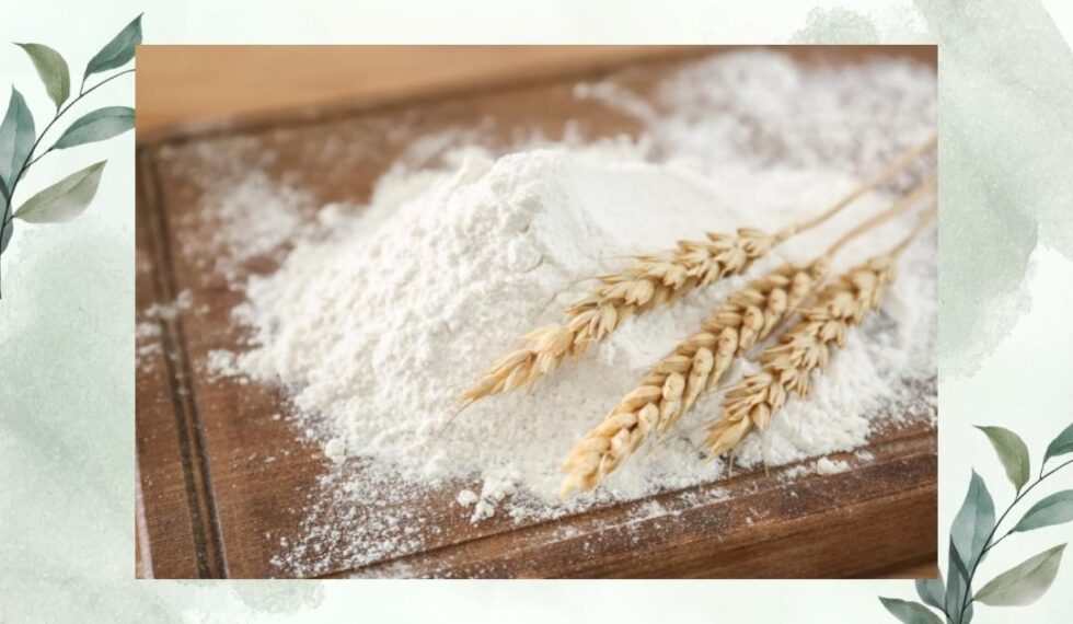 Whole Wheat Flour Nutrition and 8 Health Benefits