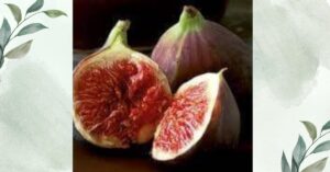 ত্বীন ফল (Dried Fig)