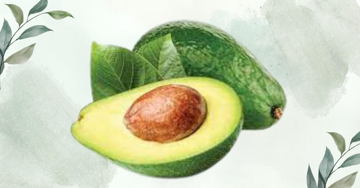অ্যাভোকাডোর(avocado)