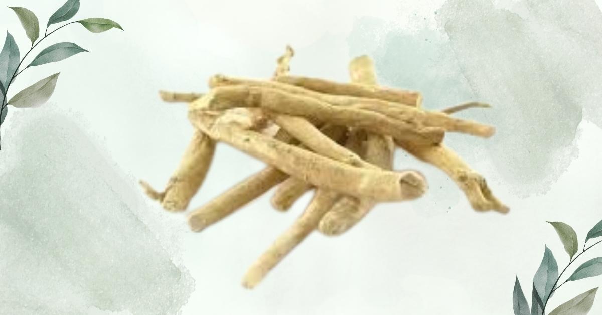 অশ্বগন্ধা (Ashwagandha)
