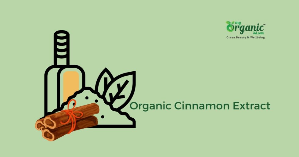 Healthy Organic Cinnamon Extract Benefits, Uses & more 2023