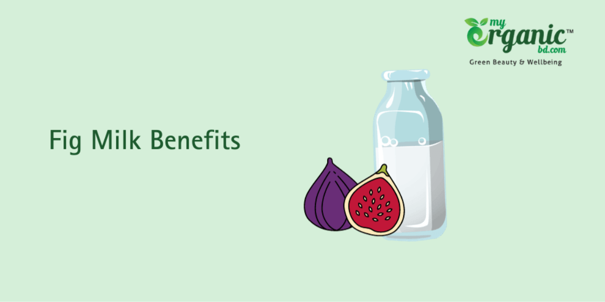 5 Organic Fig Milk Benefits and How to Use Them. My Organic BD