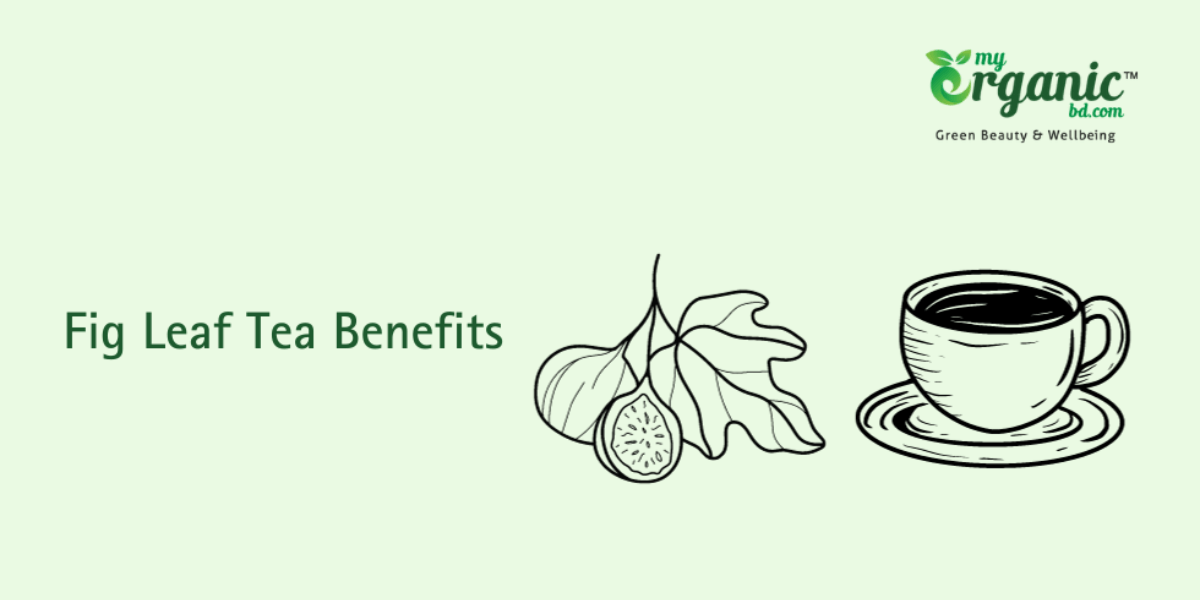 5 Incredible Fig Leaf Tea Benefits You Must Know