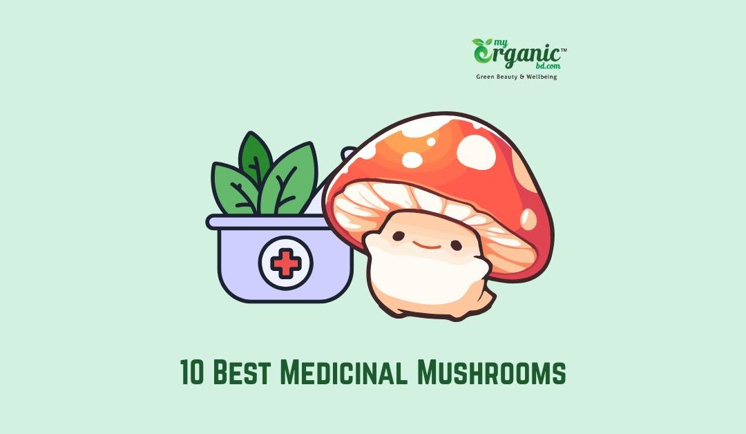 Best Medicinal Mushrooms: Proven Benefits, Wellness, Lists, Uses & More