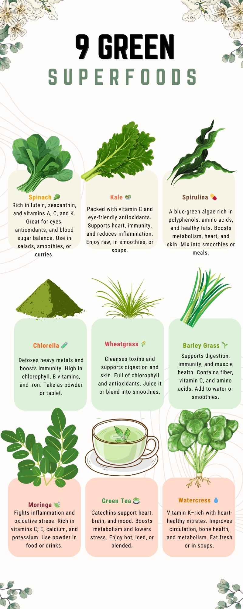 Top 9 Green Superfoods You Need to Know 1 Green Superfoods