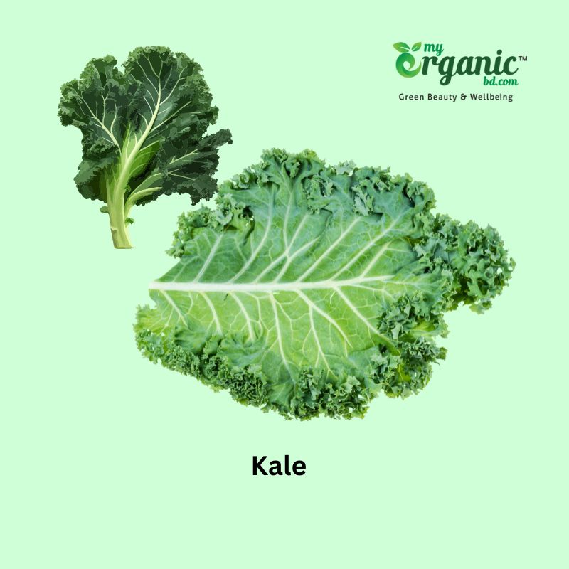 13 Best Vegan Superfoods For Optimum Health 11 Kale