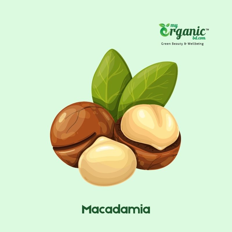 Macadamia nuts