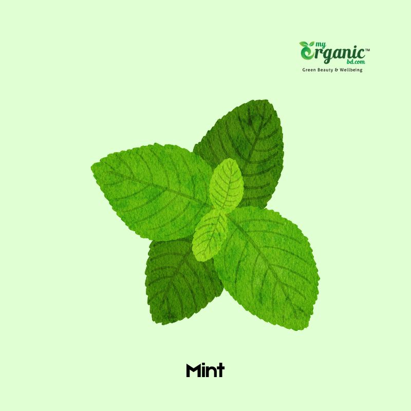 Mint