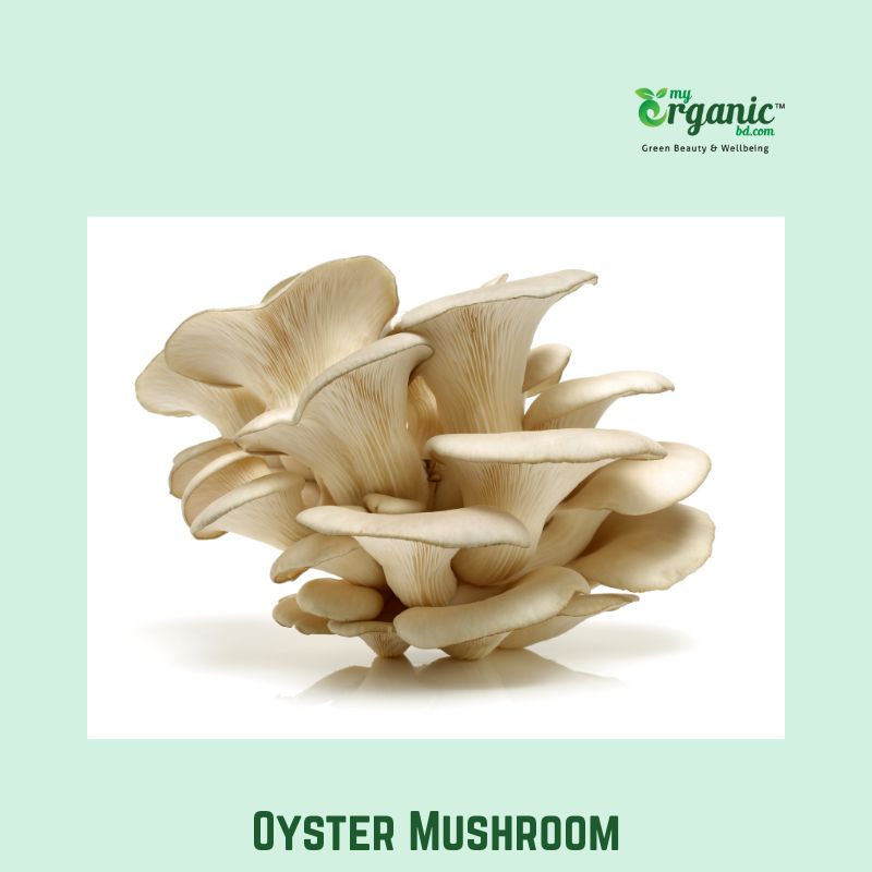 Oyster mushroom