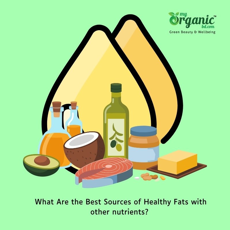 Healthy Fats: Organic Source, Benefits, and Nutrition Guide 4 What Are The Best Sources Of Healthy Fats With Other Nutrients?