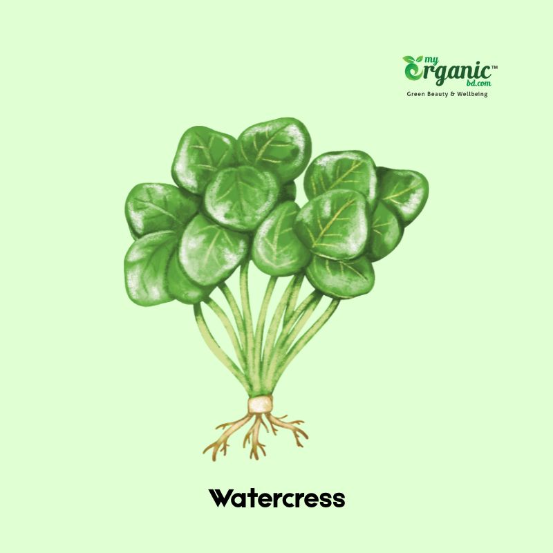 watercress