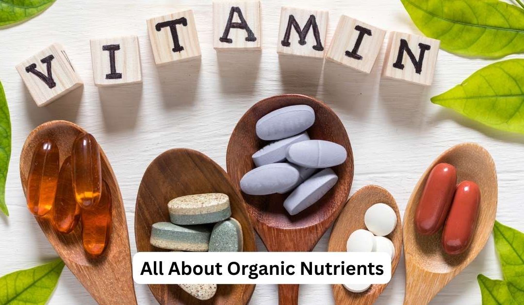 Nutrients 101 – The Building Blocks of Organic Healthy Living