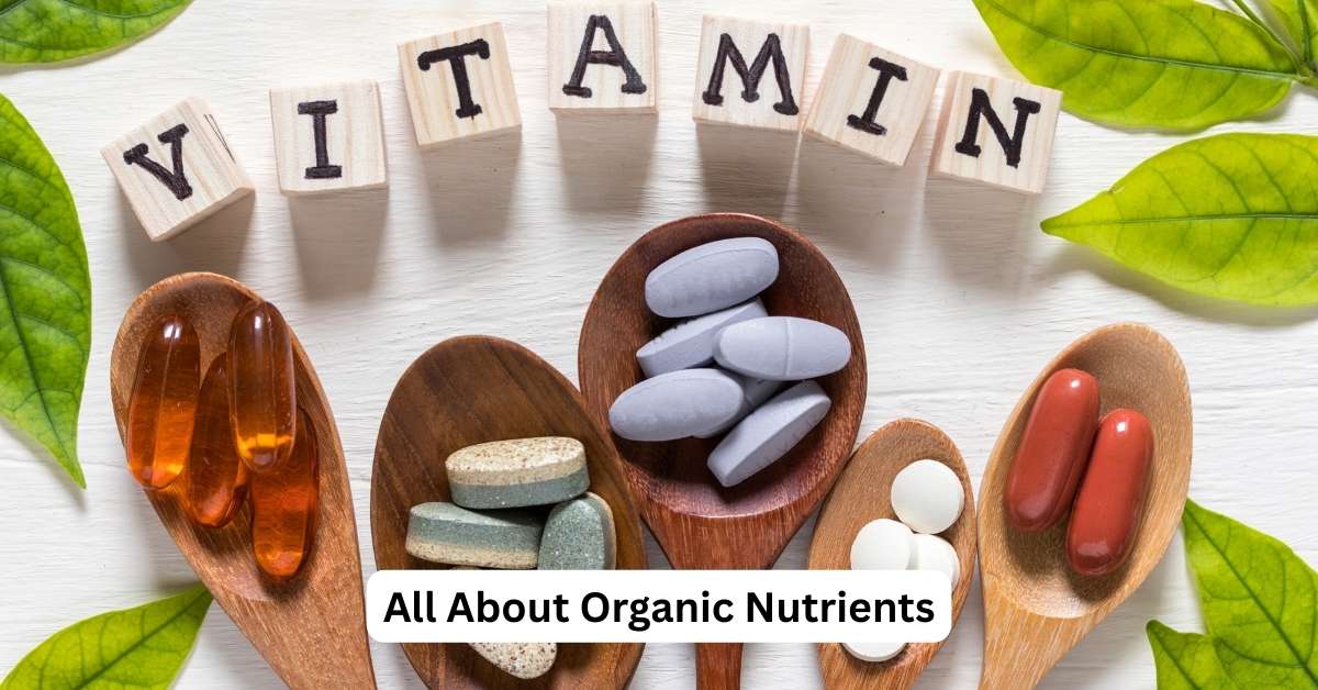 Nutrients 101 – The Building Blocks of Organic Healthy Living
