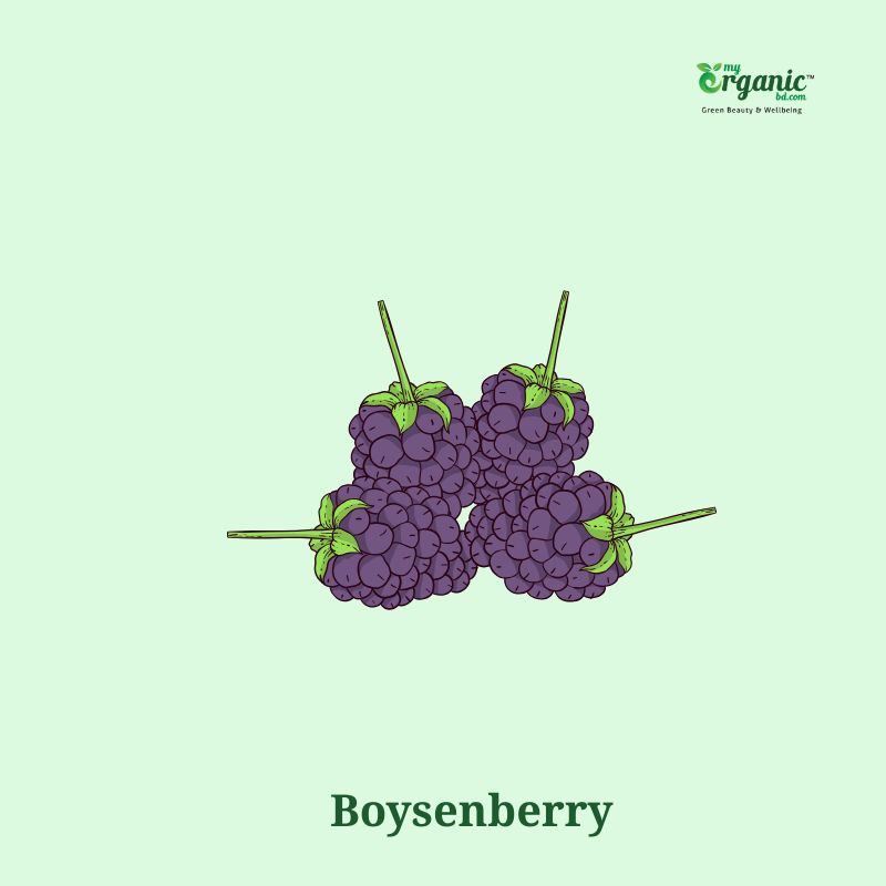 Boysenberry 