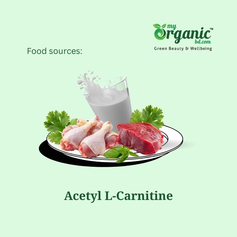 Acetyl L-Carnitine Supplements And Food Source