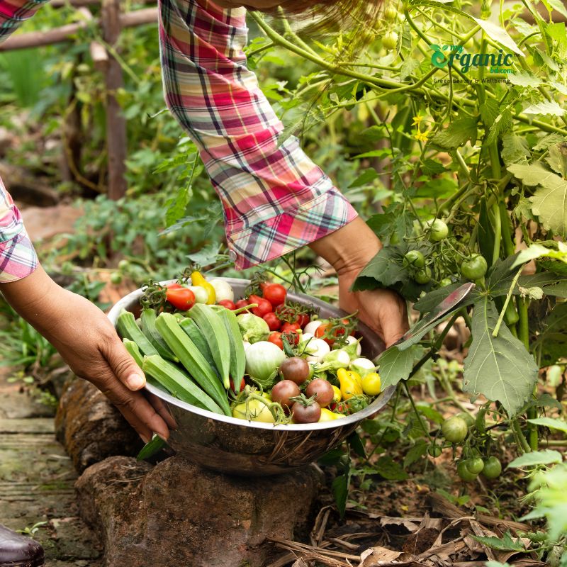 How Does Organic Food Support Health?