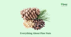 Pine Nut