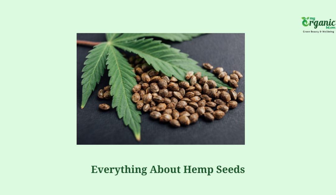 Hemp Seed Nutrition Facts, Health Benefits & Uses