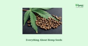 Hemp Seed Nutrition Facts, Health Benefits & Uses