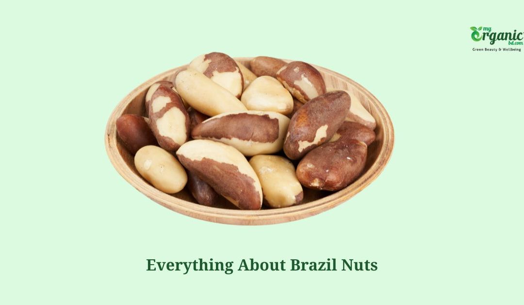 Brazil Nut