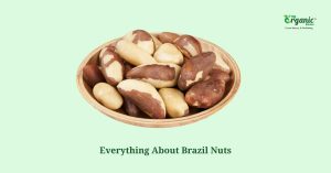 Brazil Nut