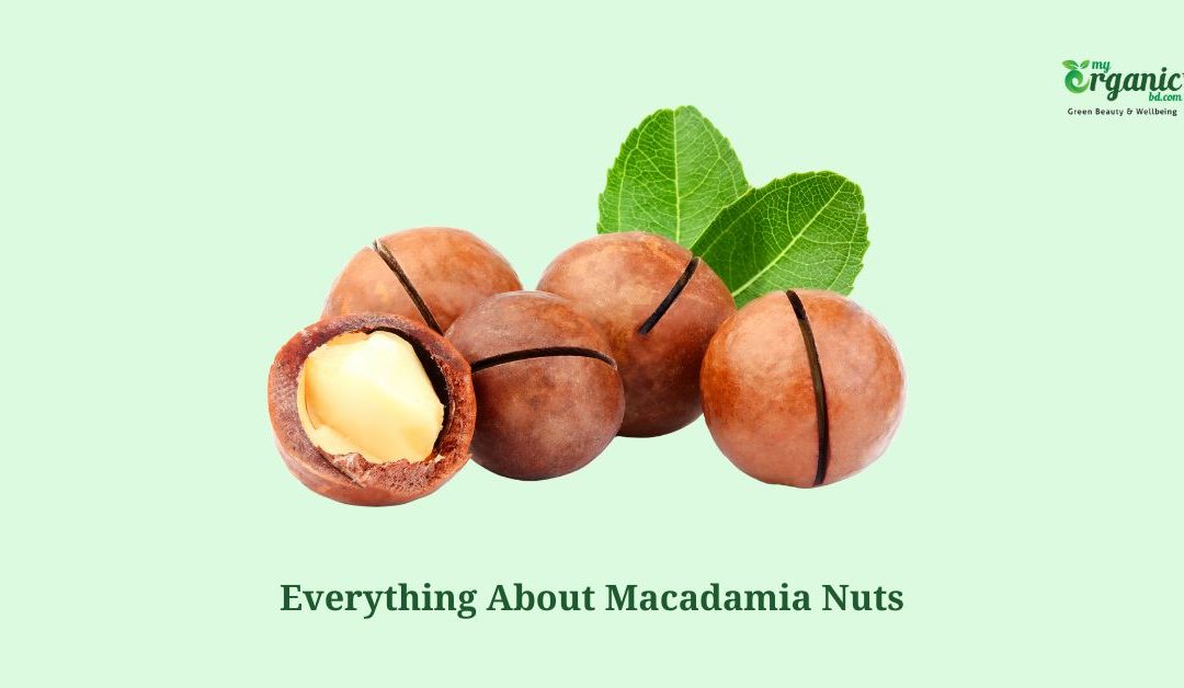 Amazing Macadamia Nuts: Nutrients, Health Benefits & More