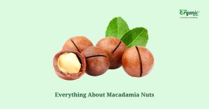 Amazing Macadamia Nuts: Nutrients, Health Benefits & More
