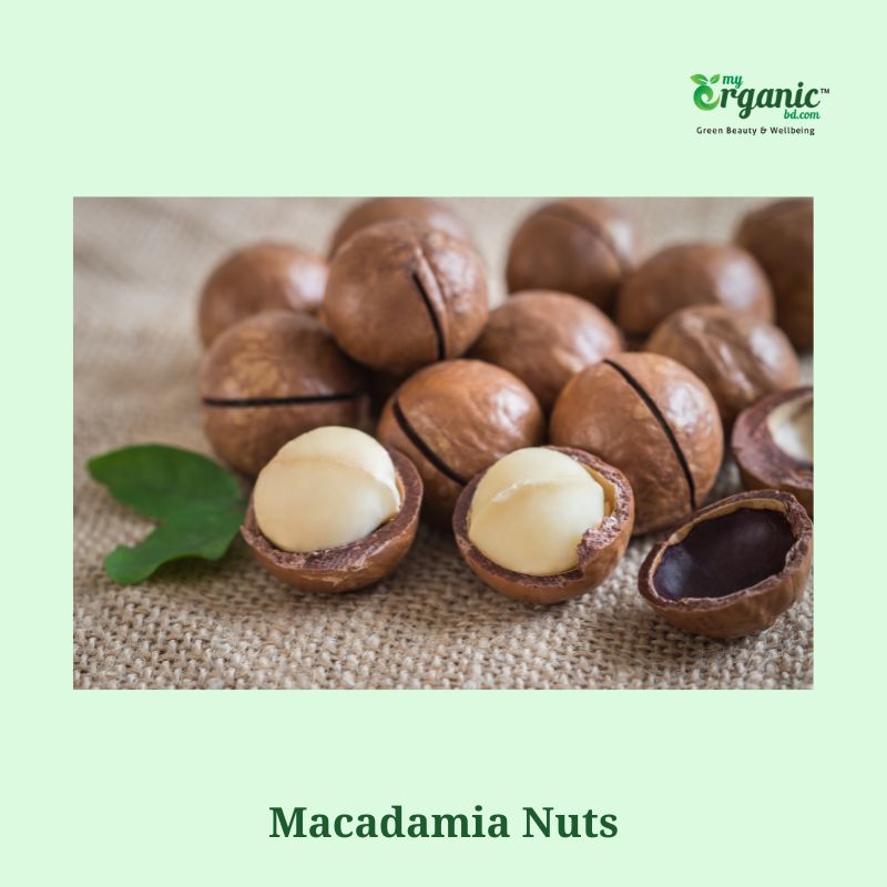 What is a Macadamia Nut?