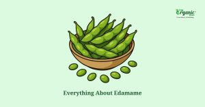 Amazing Edamame 101: Everything You Should Know