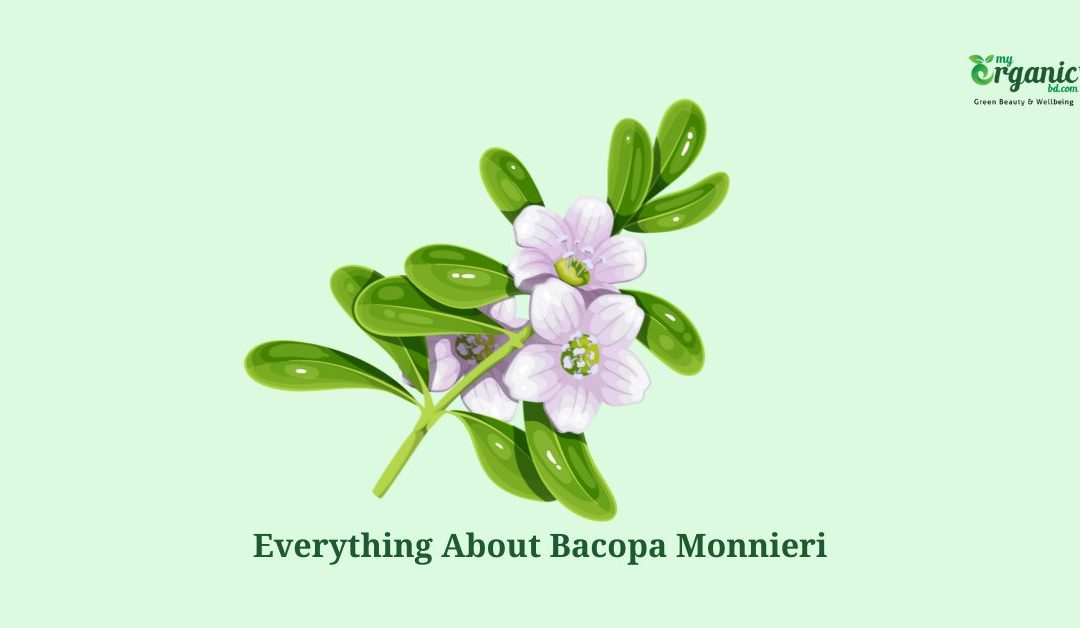 Bacopa Monnieri