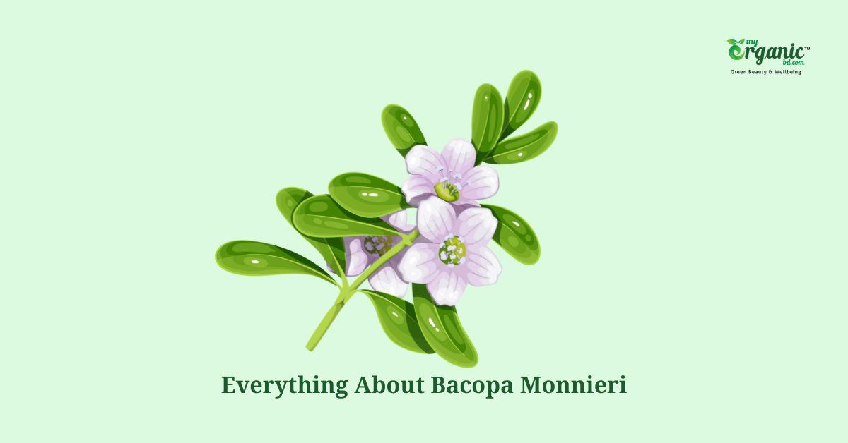 Bacopa Monnieri
