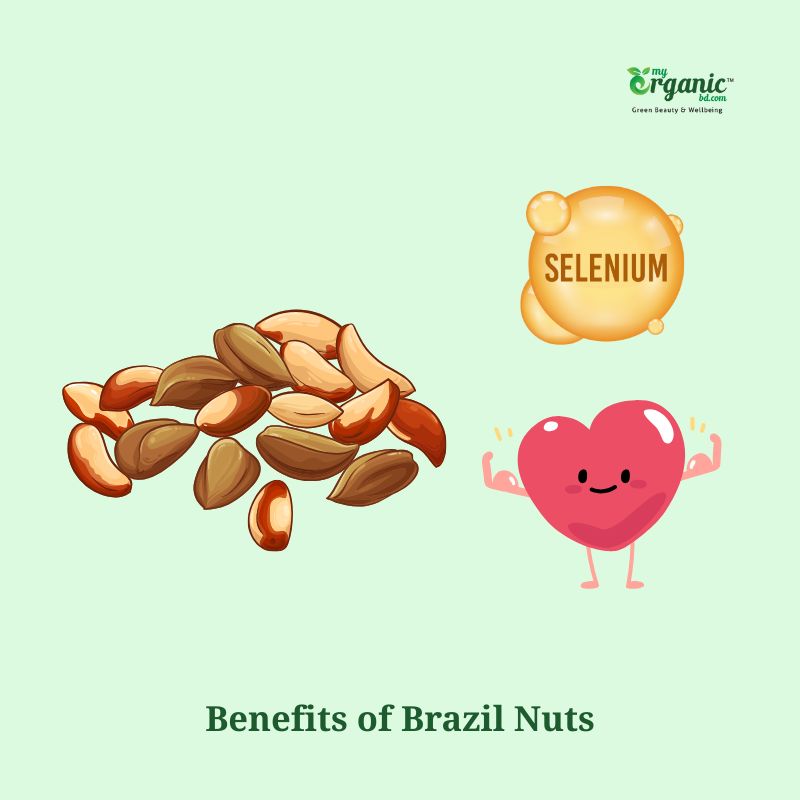 Awesome Brazil Nuts: Nutrition, Health Benefits & Uses 2 What Are The Health Benefits Of Brazil Nuts?