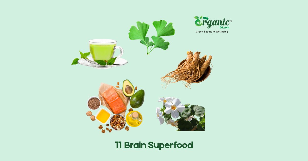 Brain Health Dietary Supplement An Honest Guide for Natural Cognitive Wellness