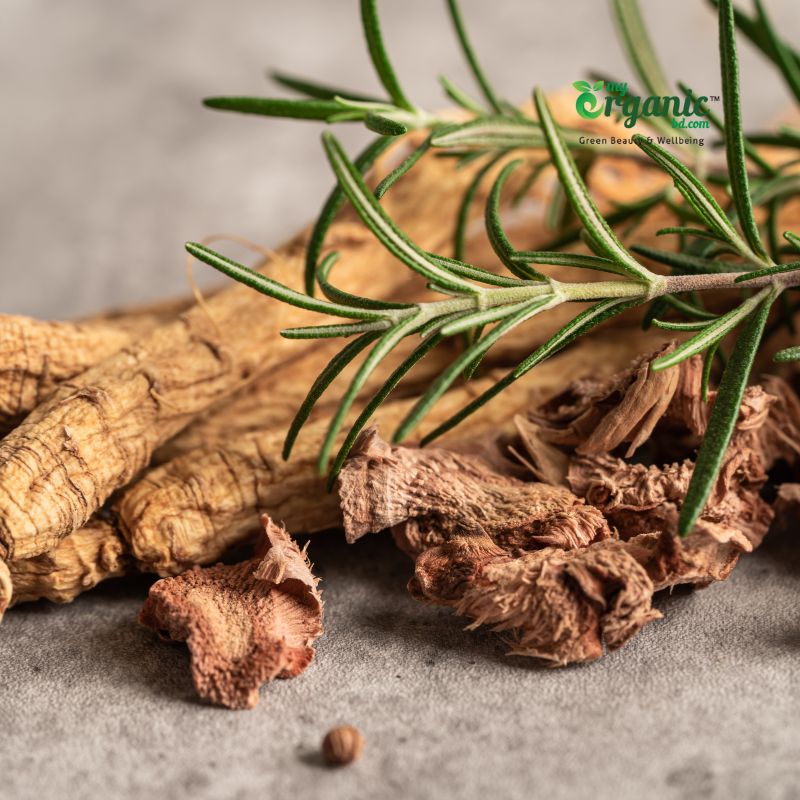 Proven Wellness Benefits of Ginseng