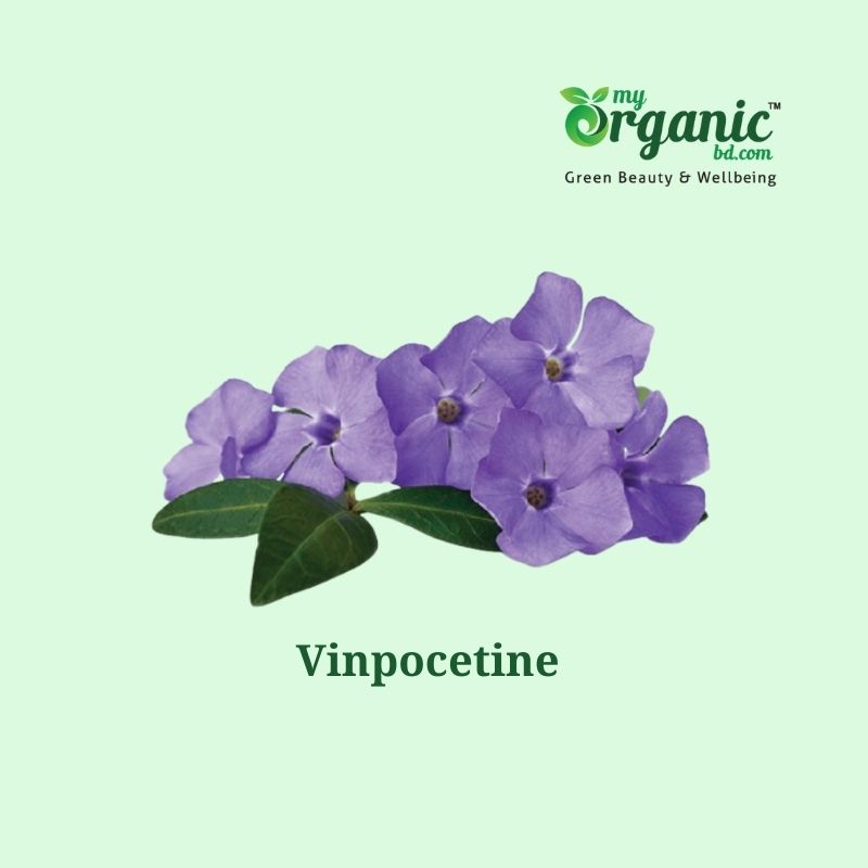 Vinpocetine Supplements And Food Source 