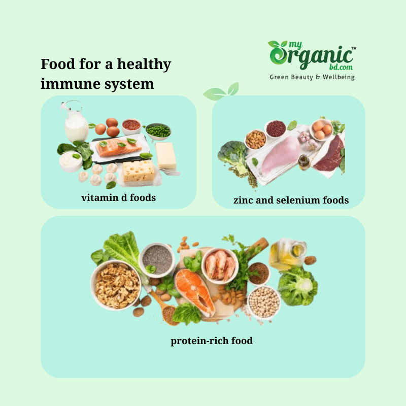 Food For A Healthy Immune System