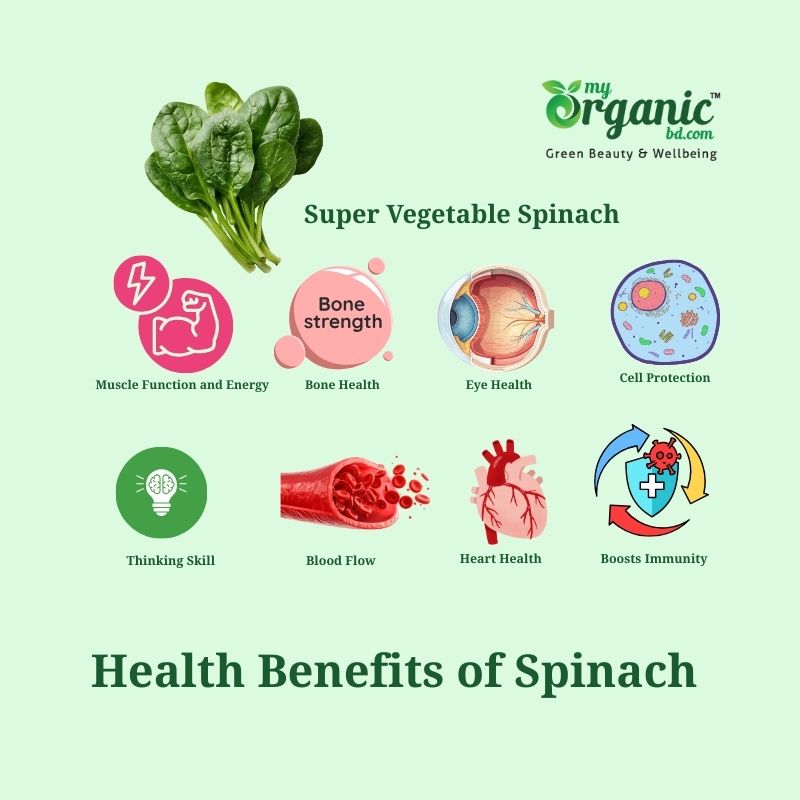 Secret Strengths of Spinach: Nutrition, Health Benefits & More 4 Health Benefits Of Super Vegetable Spinach