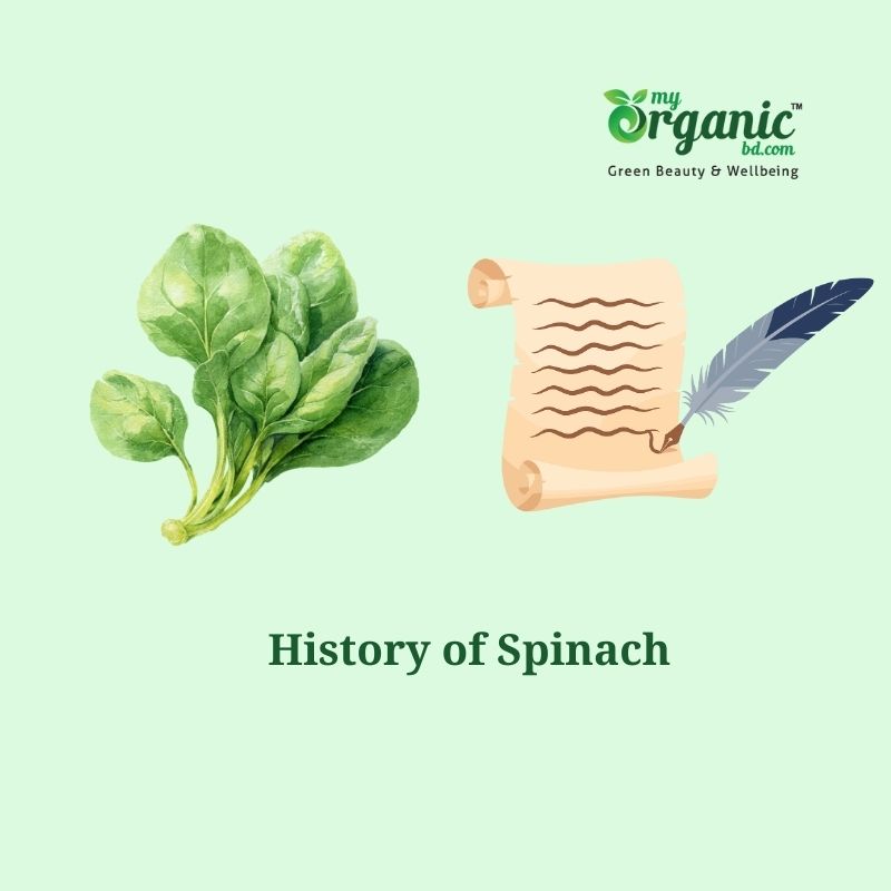 Secret Strengths of Spinach: Nutrition, Health Benefits & More 2 What Is The History Of Spinach?