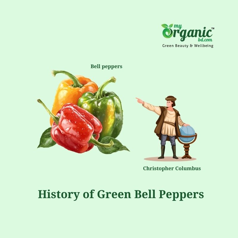 The Gifts Inside Green Bell Peppers: Nutrition, Health Benefits & More 2 History Of Grenn Bell Pepper