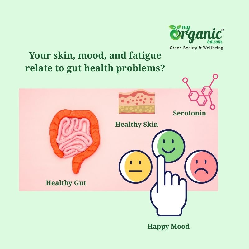 Best Diet for Gut health : Foods & Supplements to Improve Your Gut 7 How Can Skin, Mood, And Fatigue Relate To Gut Health Problems?