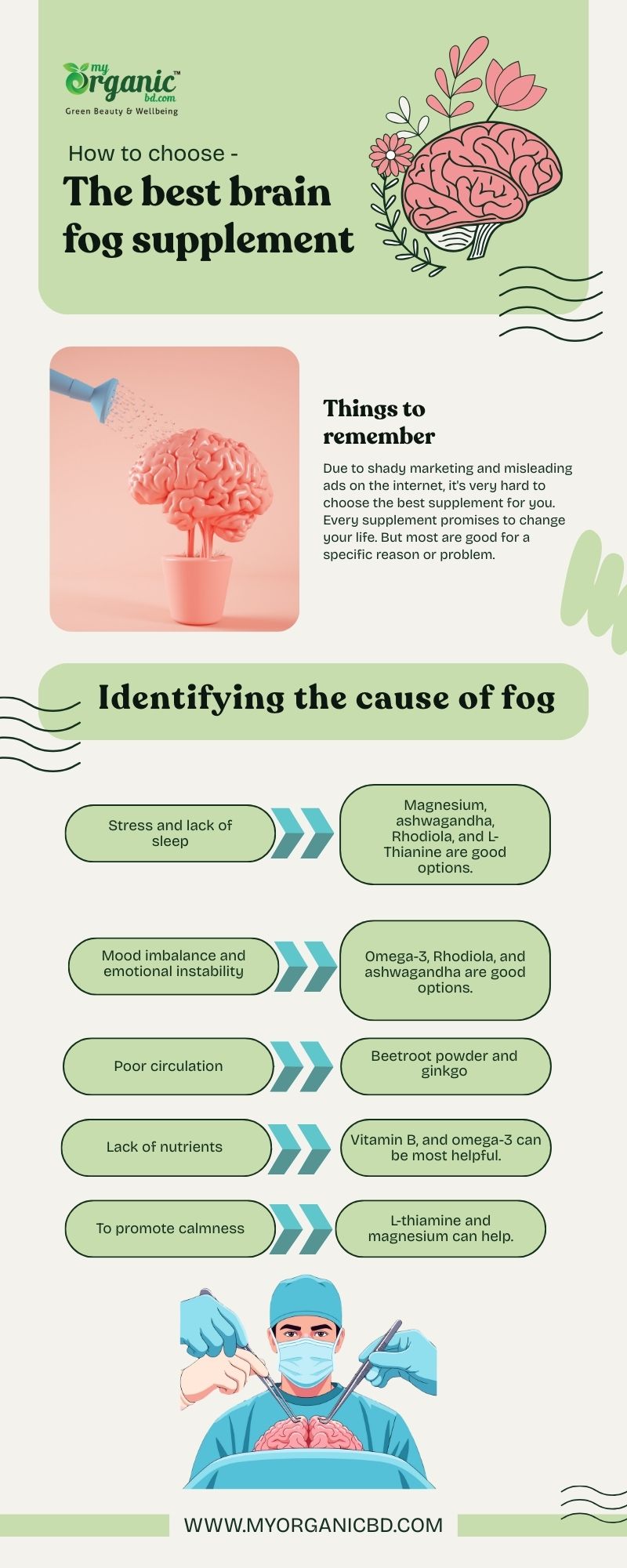 How To Choose The Best Supplements For Brain Fog?