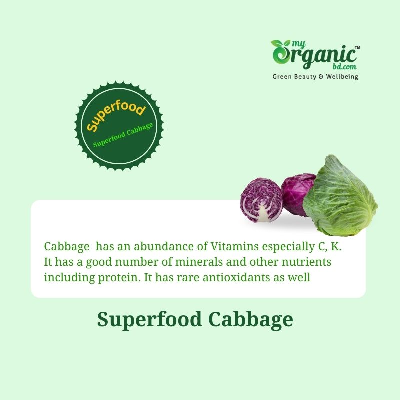 Amazing Cozy Cabbage: Nutrition, Health Benefits & More 1 Is Cabbage A Superfood