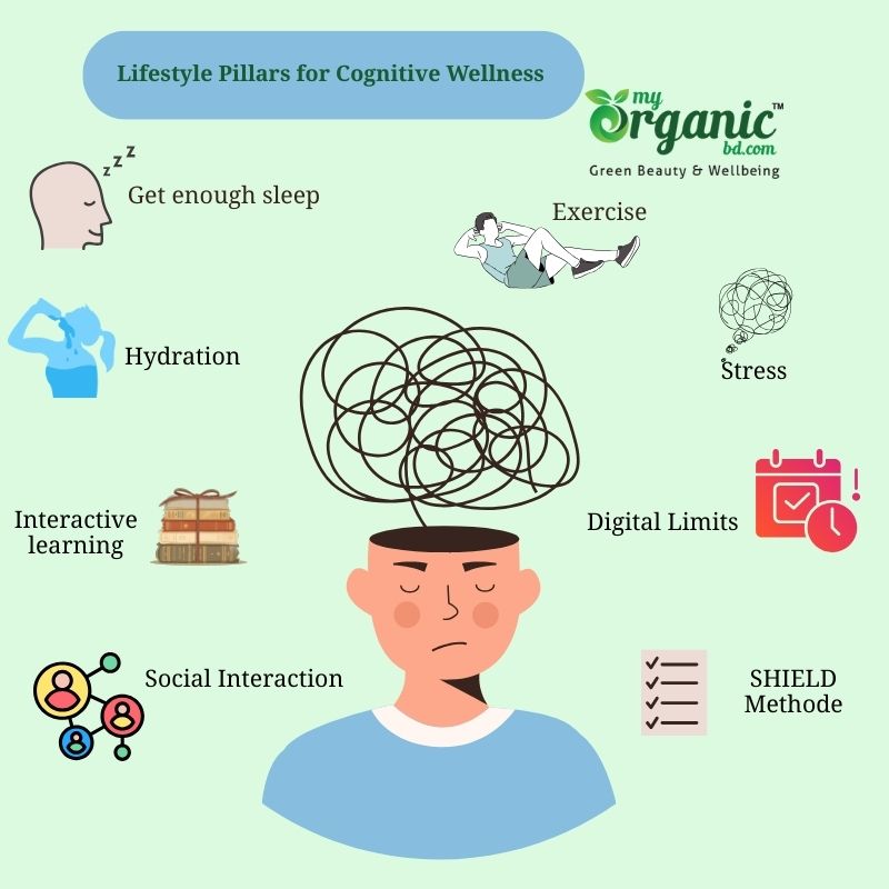 Lifestyle Pillars For Cognitive Wellness 