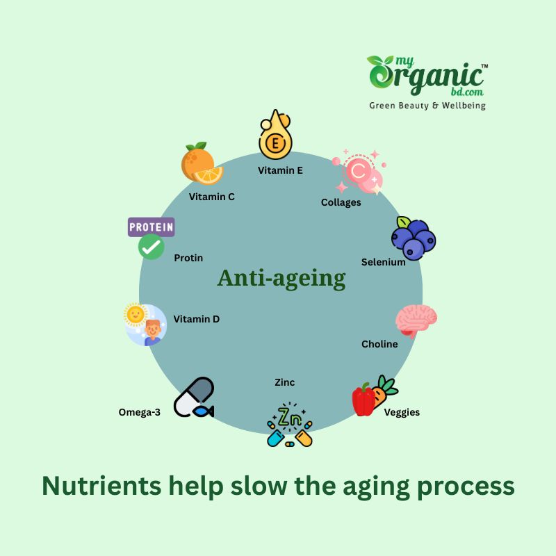 Best Diet for Anti-Aging: Foods for healthy aging & Youthful Skin 5 What Nutrients Help Slow The Aging Process?