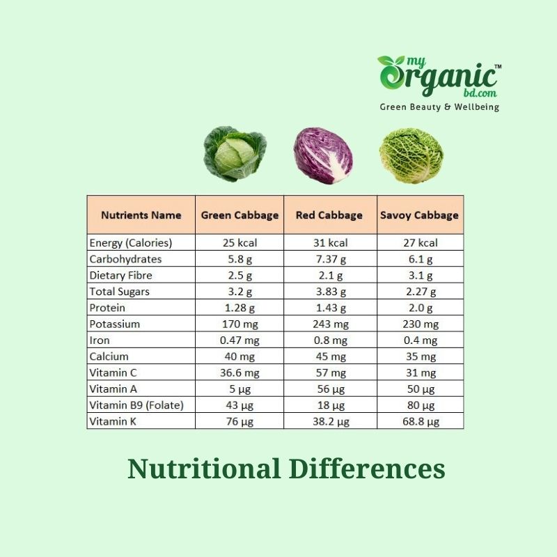 Amazing Cozy Cabbage: Nutrition, Health Benefits & More 5 Nutritional Differences Of Cabbage