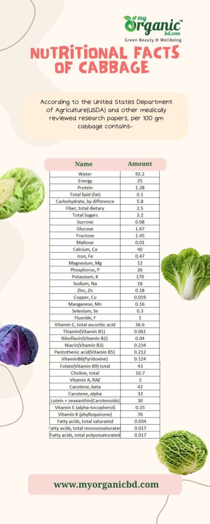 Amazing Cozy Cabbage: Nutrition, Health Benefits & More 4 Nutritional Facts Of Cabbage