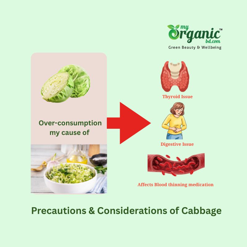 Amazing Cozy Cabbage: Nutrition, Health Benefits & More 7 Precautions &Amp; Considerations Of Cabbage